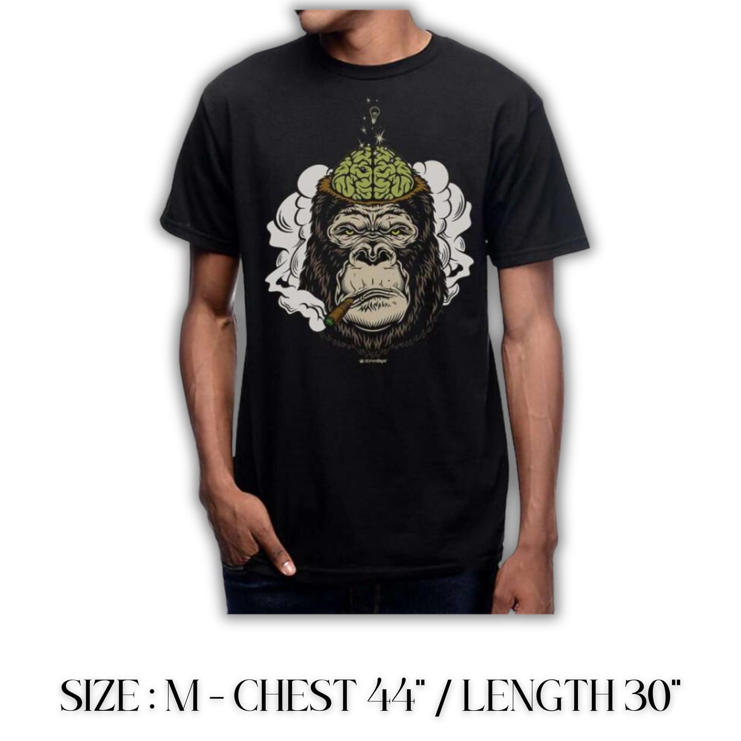 T - SHIRT | ENLIGHTED GORILLA