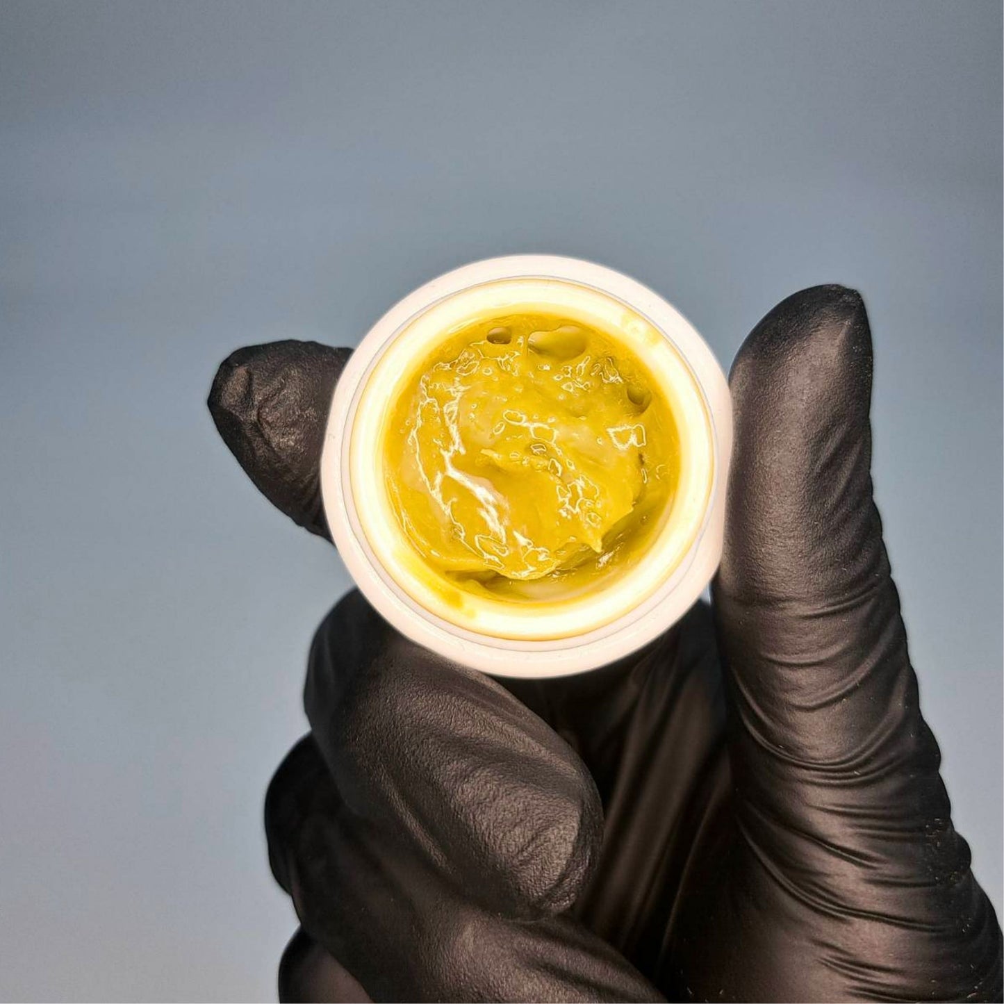 CONCENTRATE LIVE ROSIN | SP XXX OG