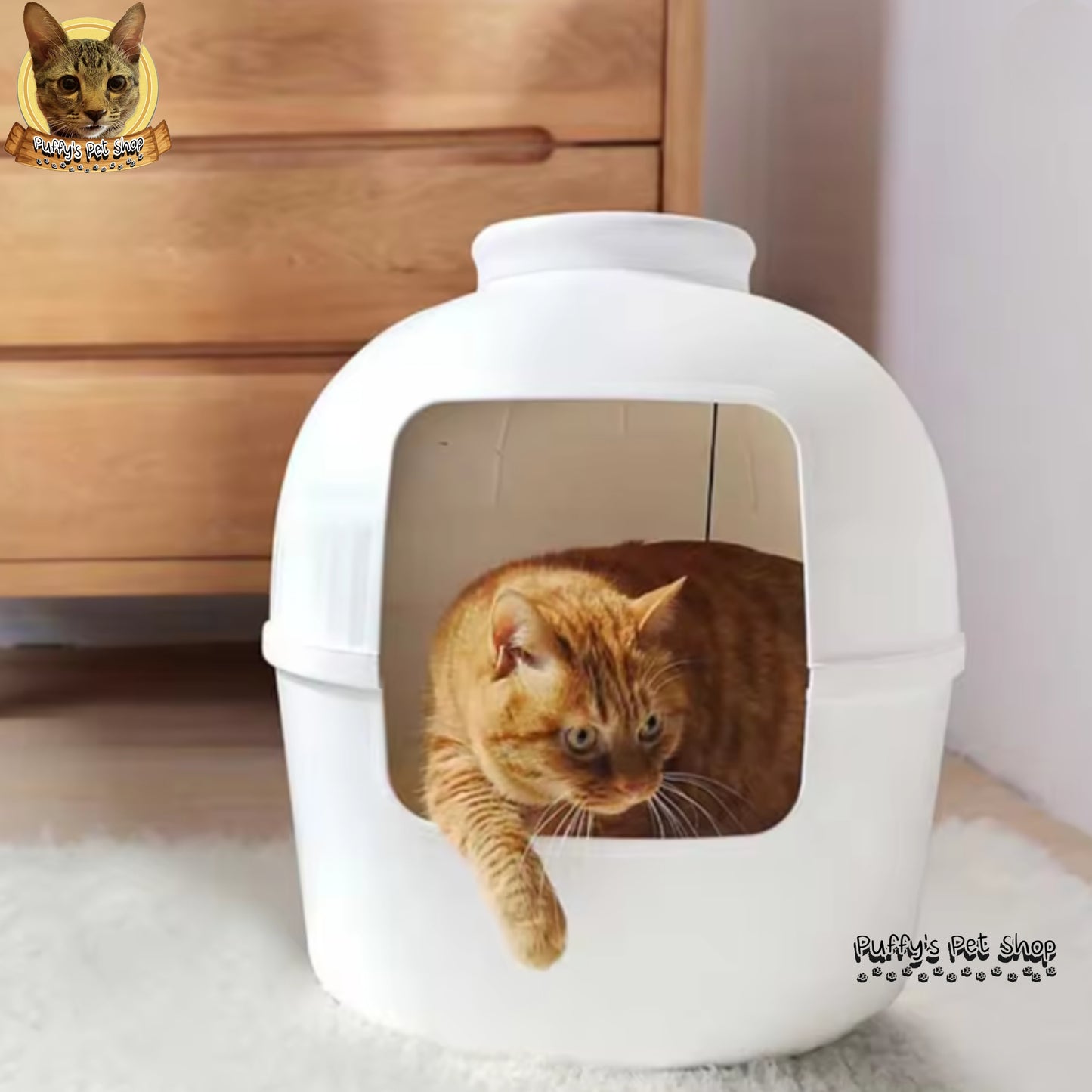 Puffy's Pet Shop | Large Cat Tree House Removable & Durable บ้านแมวต้นไม้ ขนาดใหญ่ แข็งแรง ถอดล้างได้ ตกแต่งบ้านได้ ขนาด 51 x 51 x 51.5 ซม.