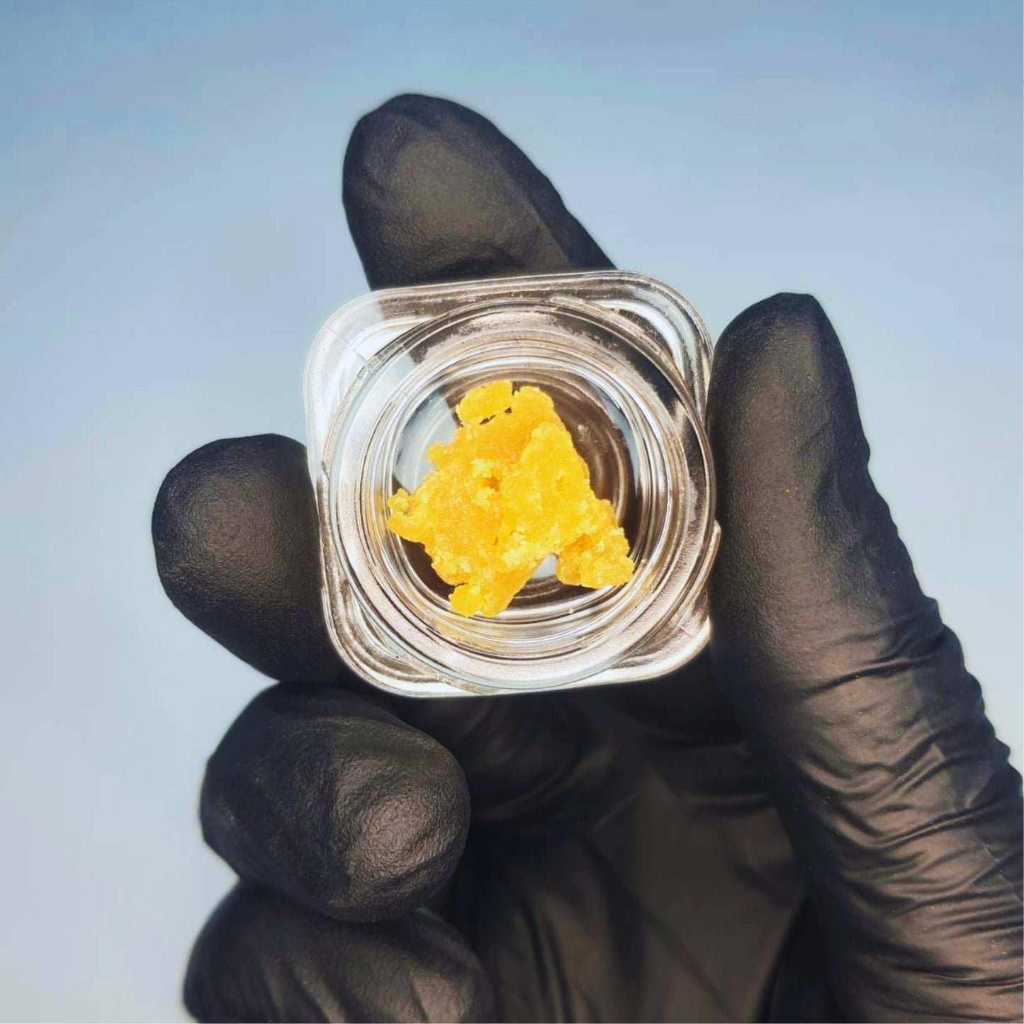 CONCENTRATE | LIVE RESIN SUGAR - SUNSET SHEBET