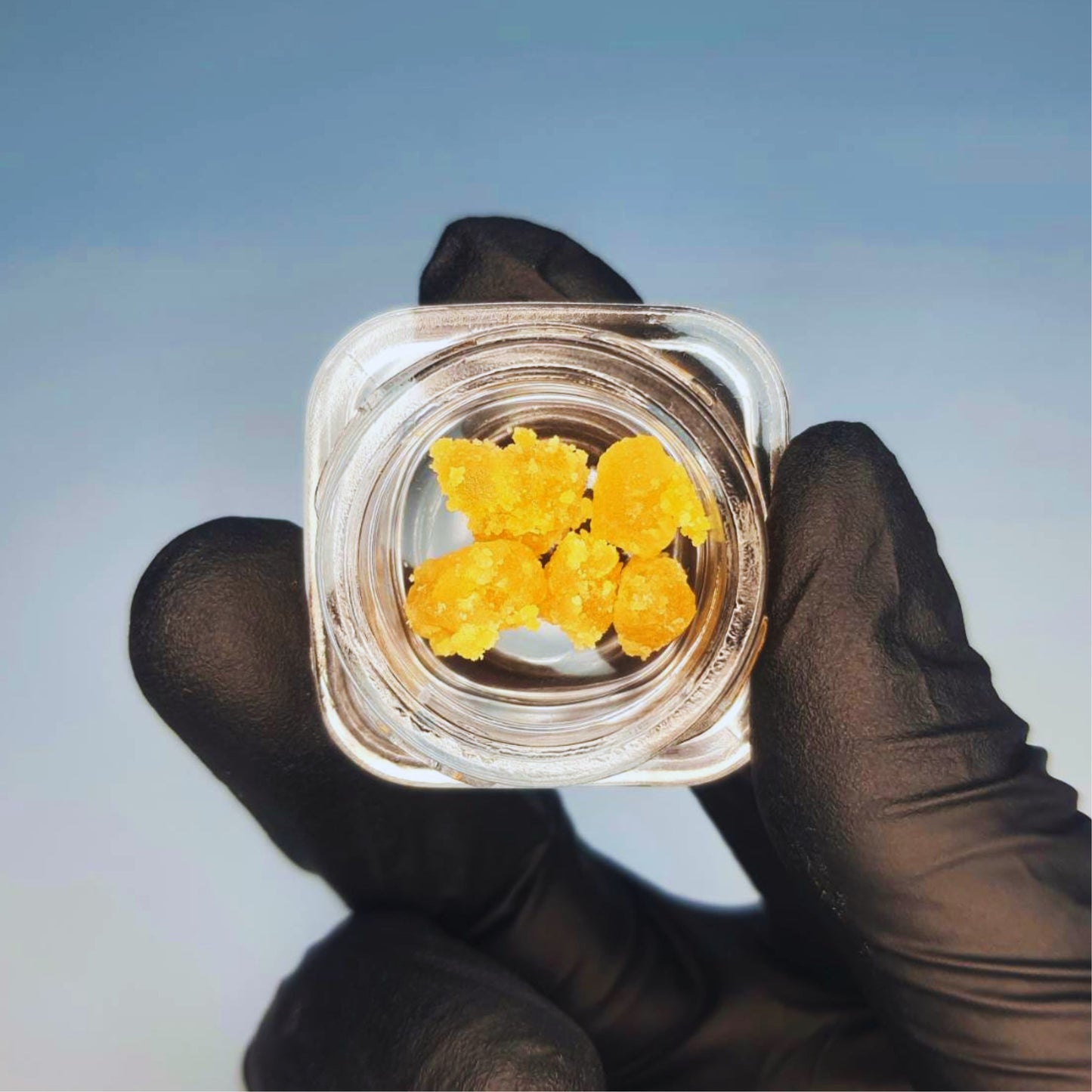 CONCENTRATE | LIVE RESIN SUGAR - PINK GASOLINE OG