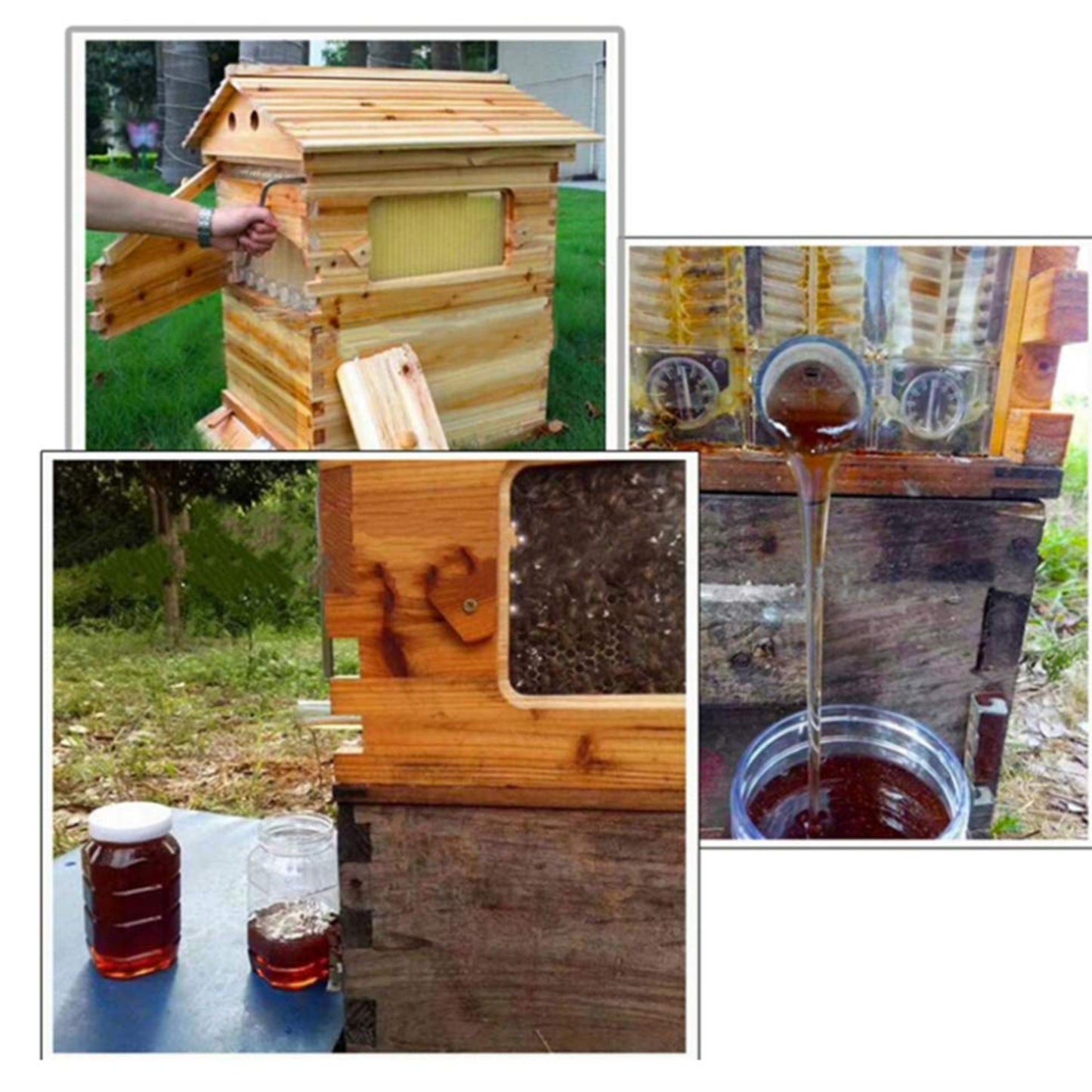 GROWING TOOLS | HONEY AUTO FLOW BEE HOUSE - FIYBEE FUSET