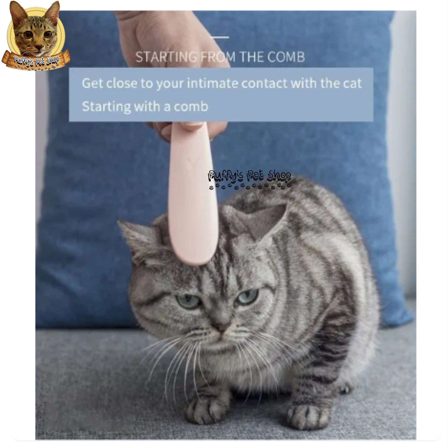 Puffy's Pet Shop | Cat Tongue Groomer แปรงขนแมวจำลองผิวสัมผัสลิ้นแมว สำหรับหวี ขจัดขน และนวดผ่อนคลาย  ขนาด  21 × 3.6 ซม.