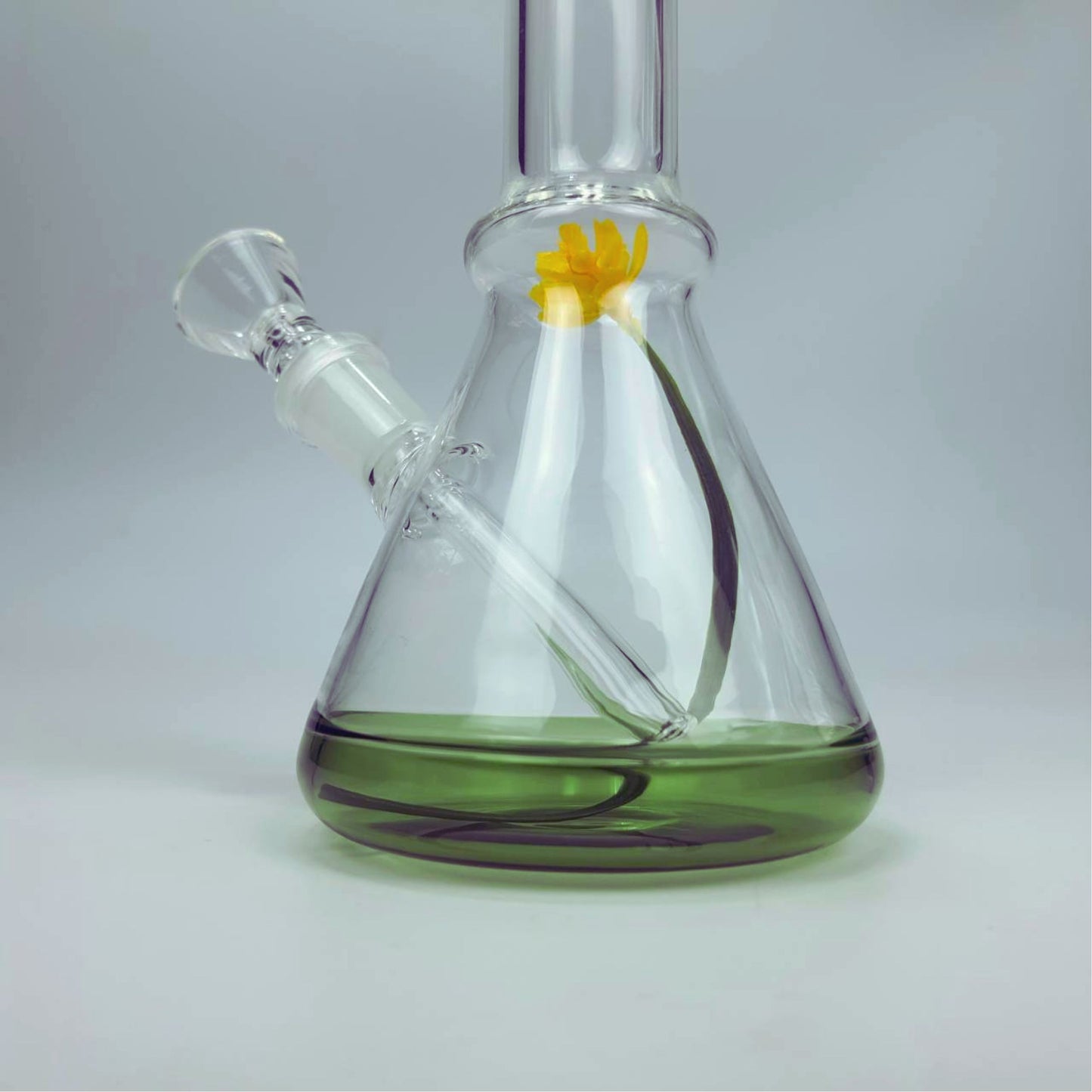 GLASS BONG | WATER LILY BEAKER GLASS BONG 7 INCH 4MM THICKNESS
