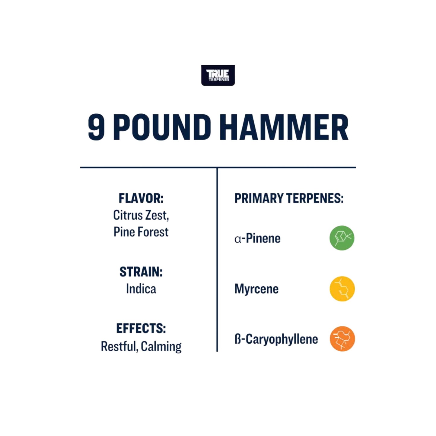 True Terpenes | 9 POUND HAMMER 5ml