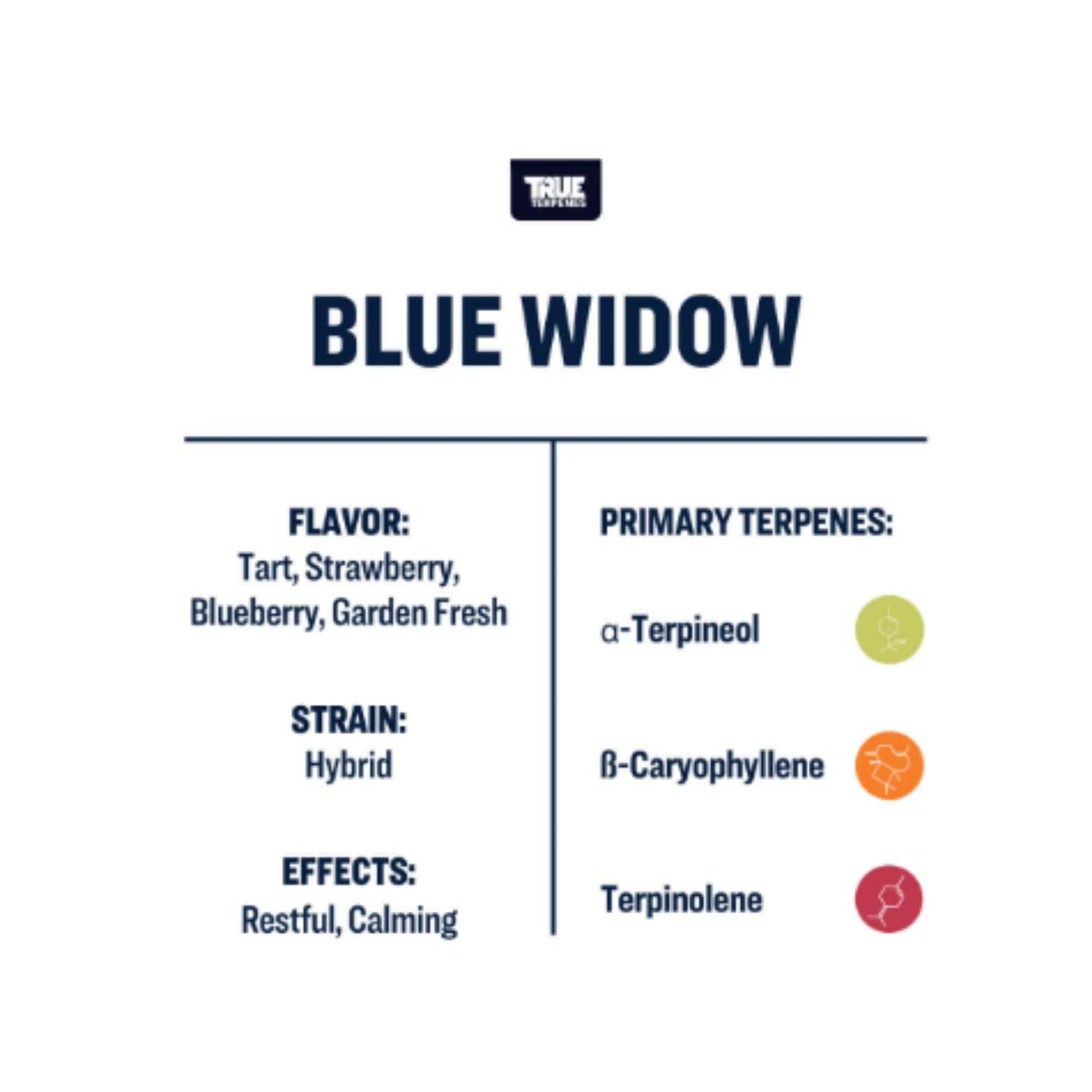 True Terpenes | Blue Widow 5ml