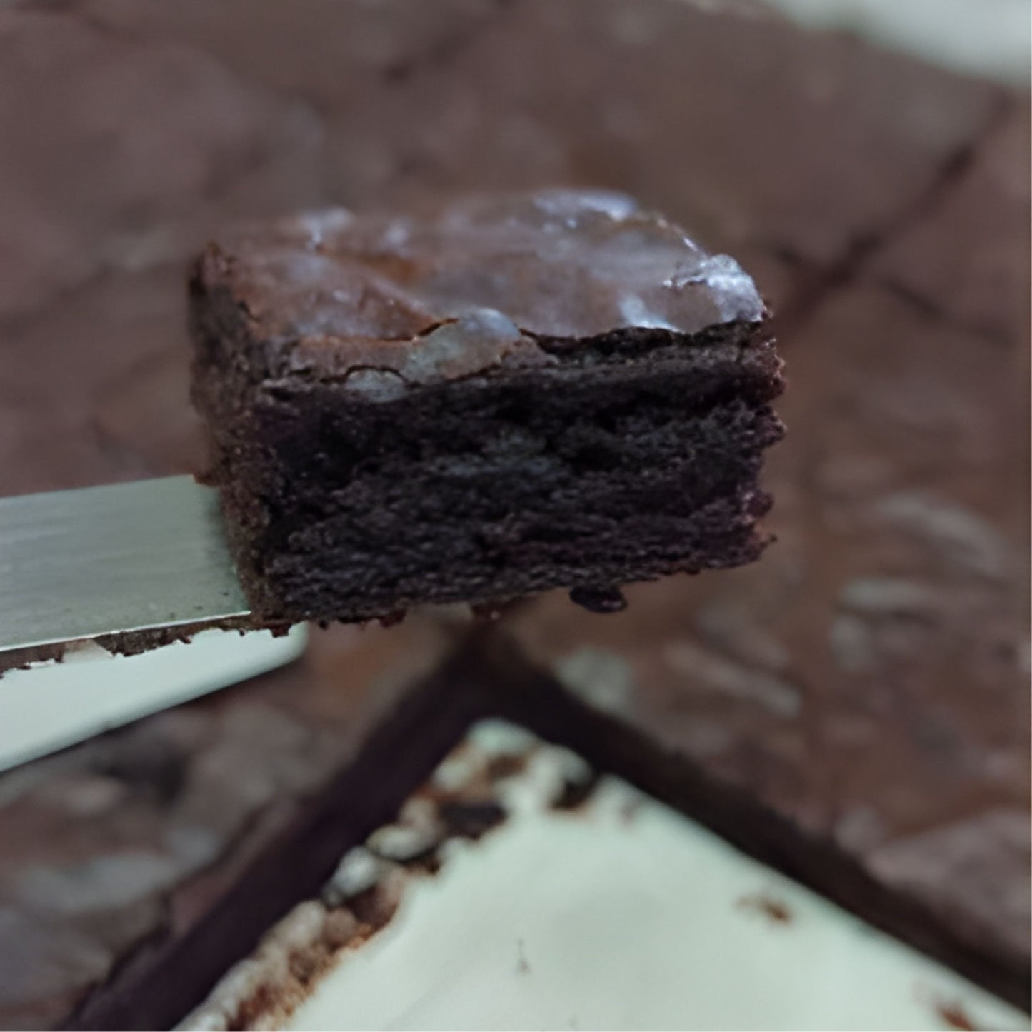 EDIBLES | BUDRENA HOMEMADE BROWNIE