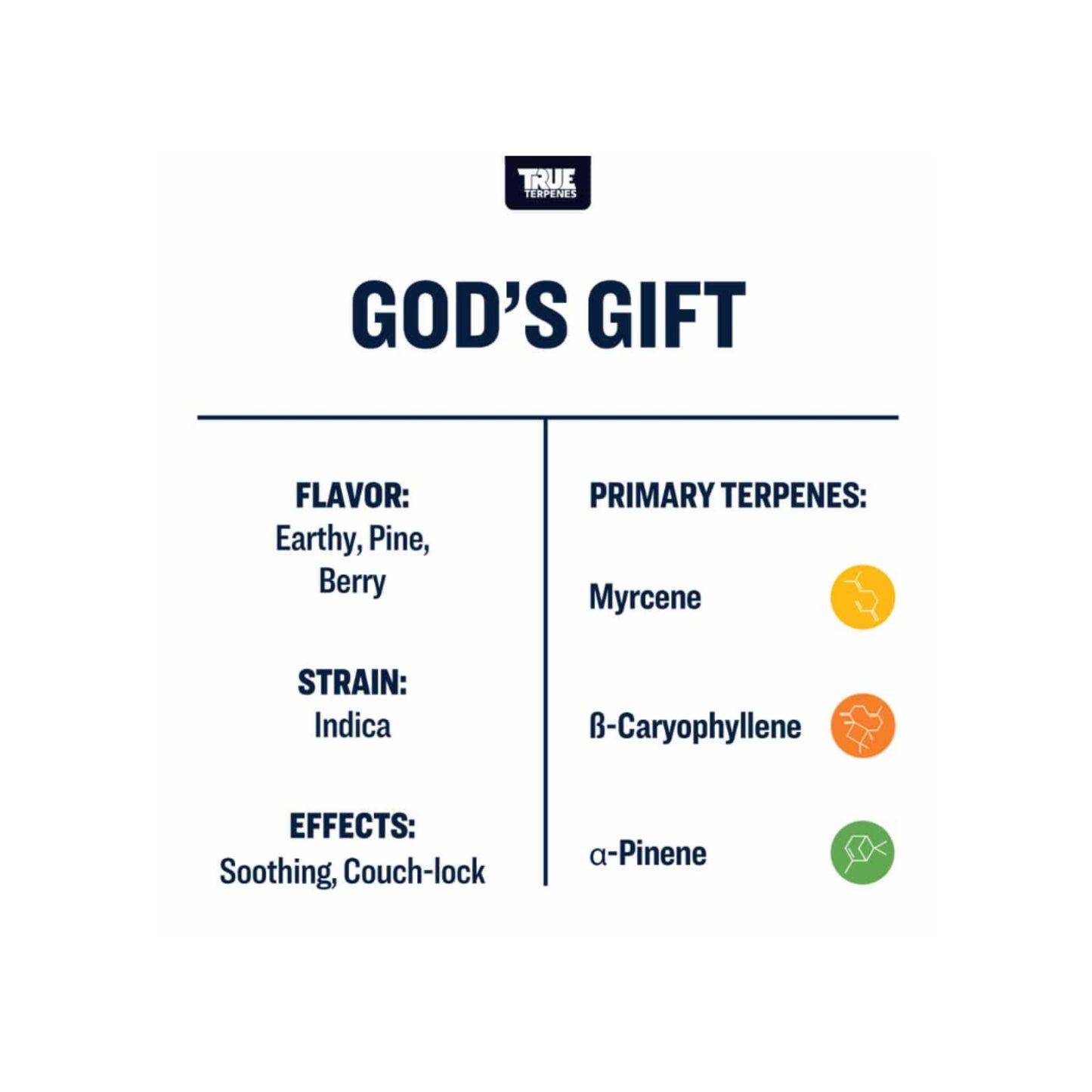 True Terpenes | GOD’S GIFT 5ml