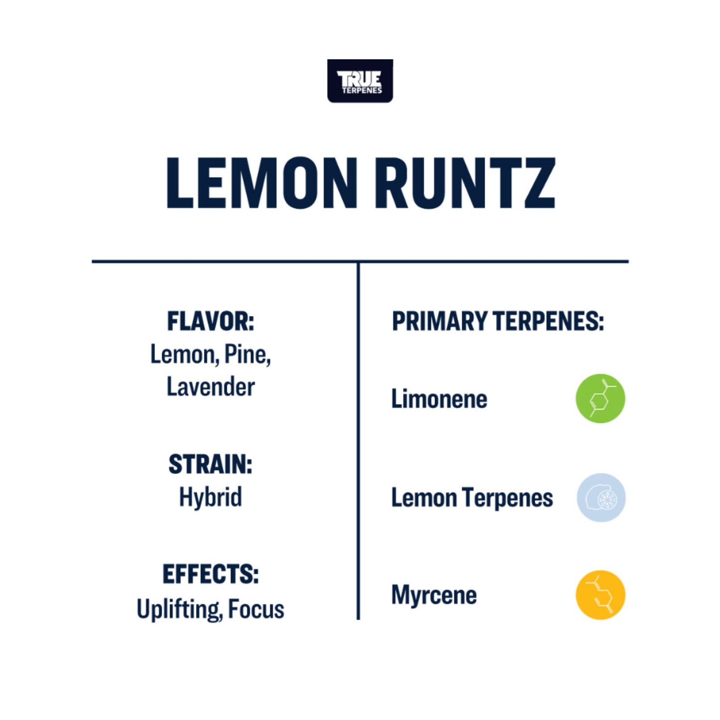 True Terpenes | LEMON RUNTZ 5ml