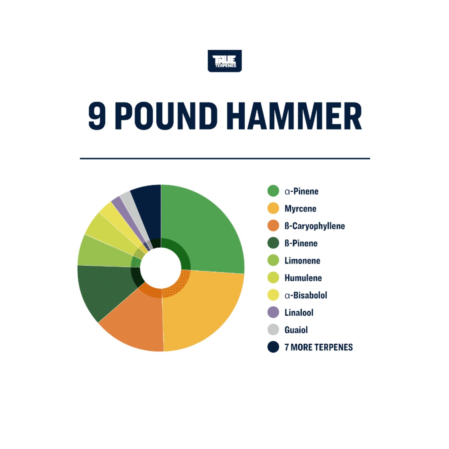 True Terpenes | 9 POUND HAMMER 5ml
