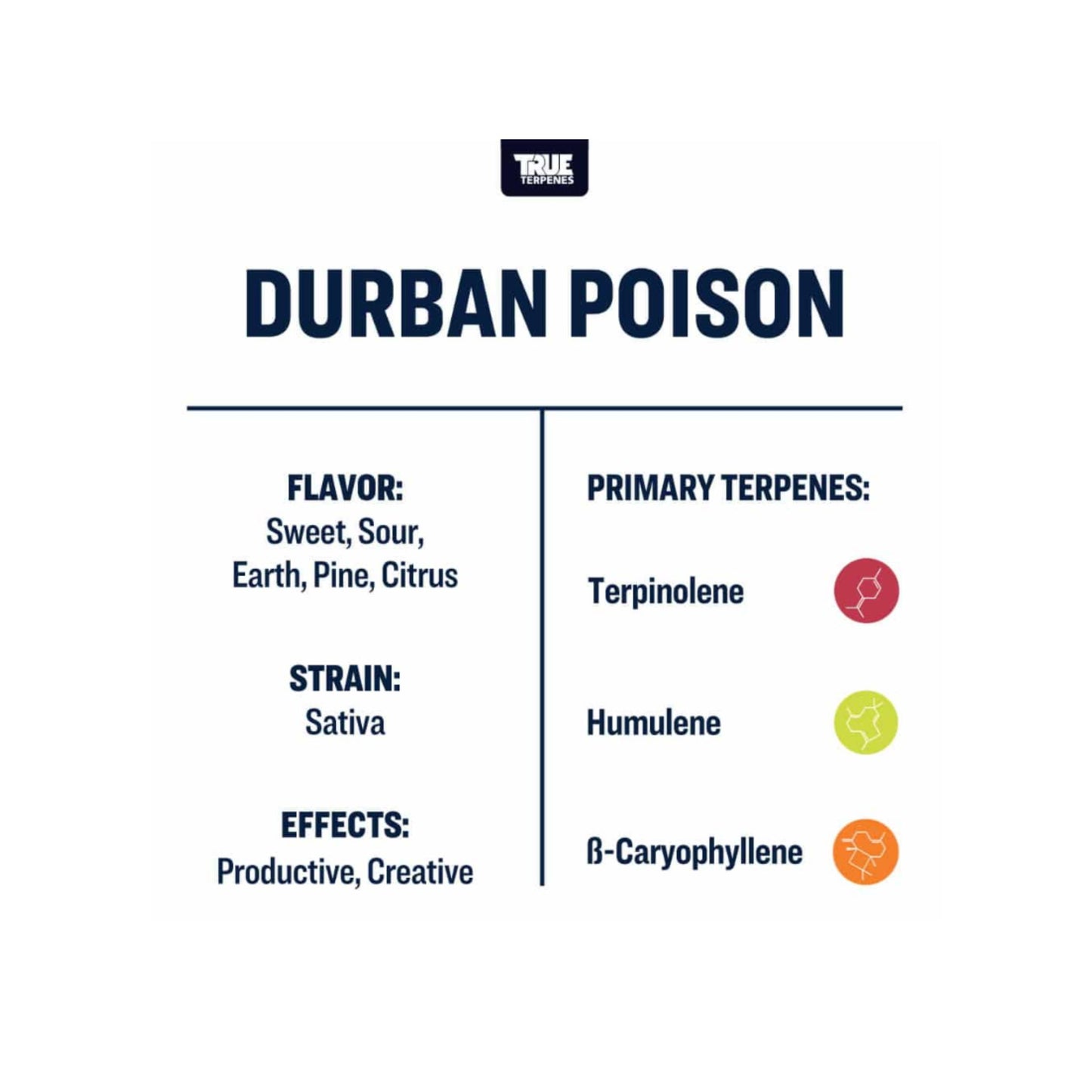 True Terpenes | DURBAN POISON 5ml