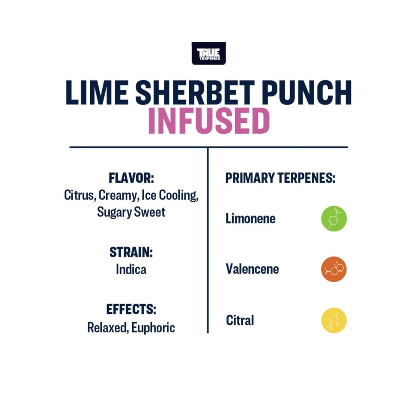 True Terpenes | LIME SHERBET PUNCH 5ml