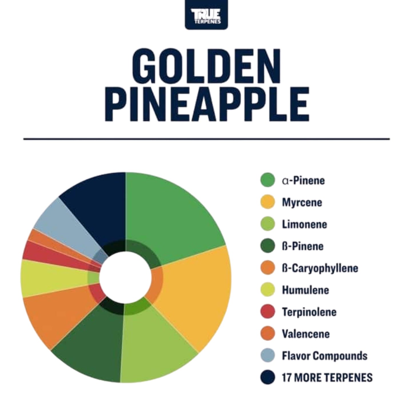 True Terpenes | GOLDEN PINEAPPLE 5ml