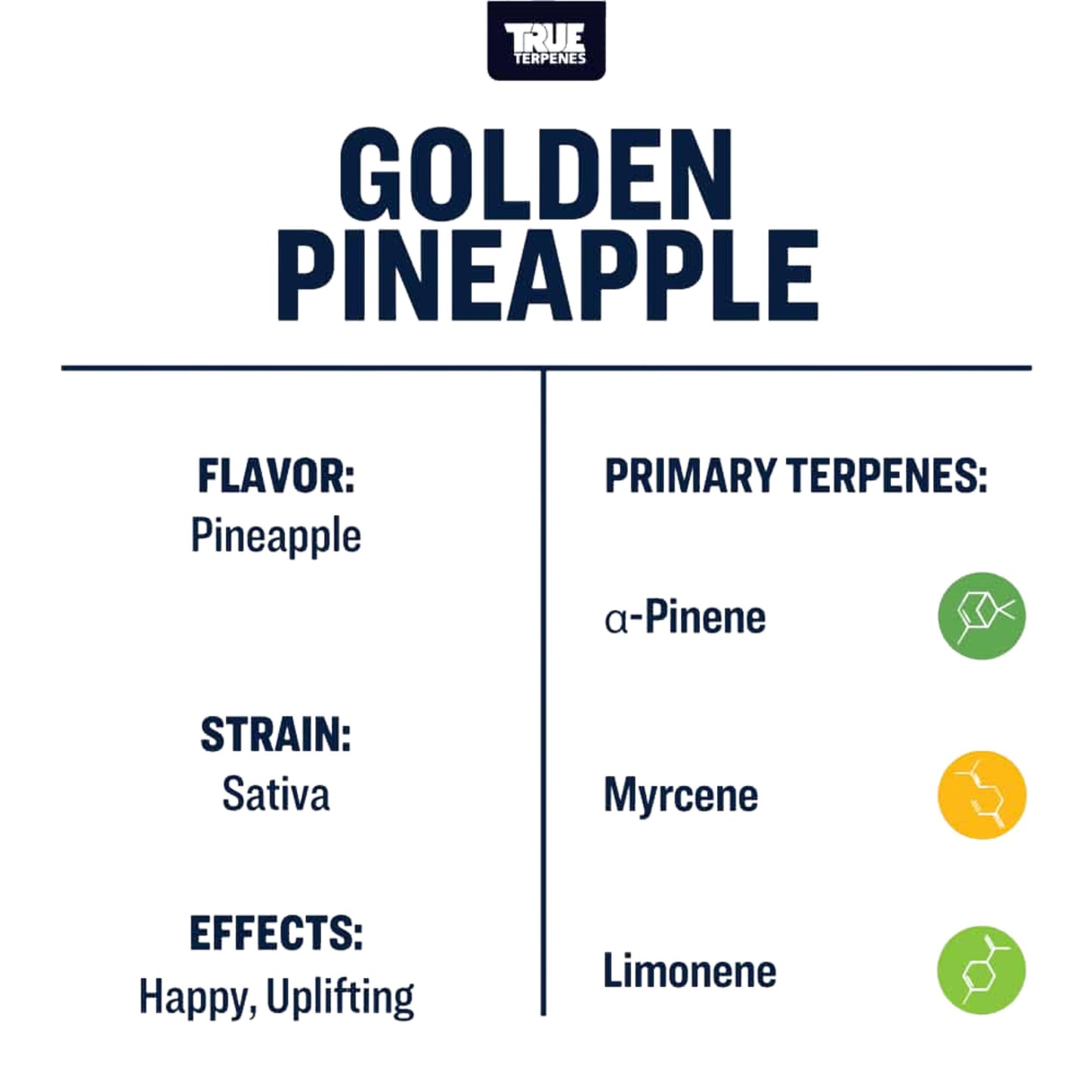 True Terpenes | GOLDEN PINEAPPLE 5ml
