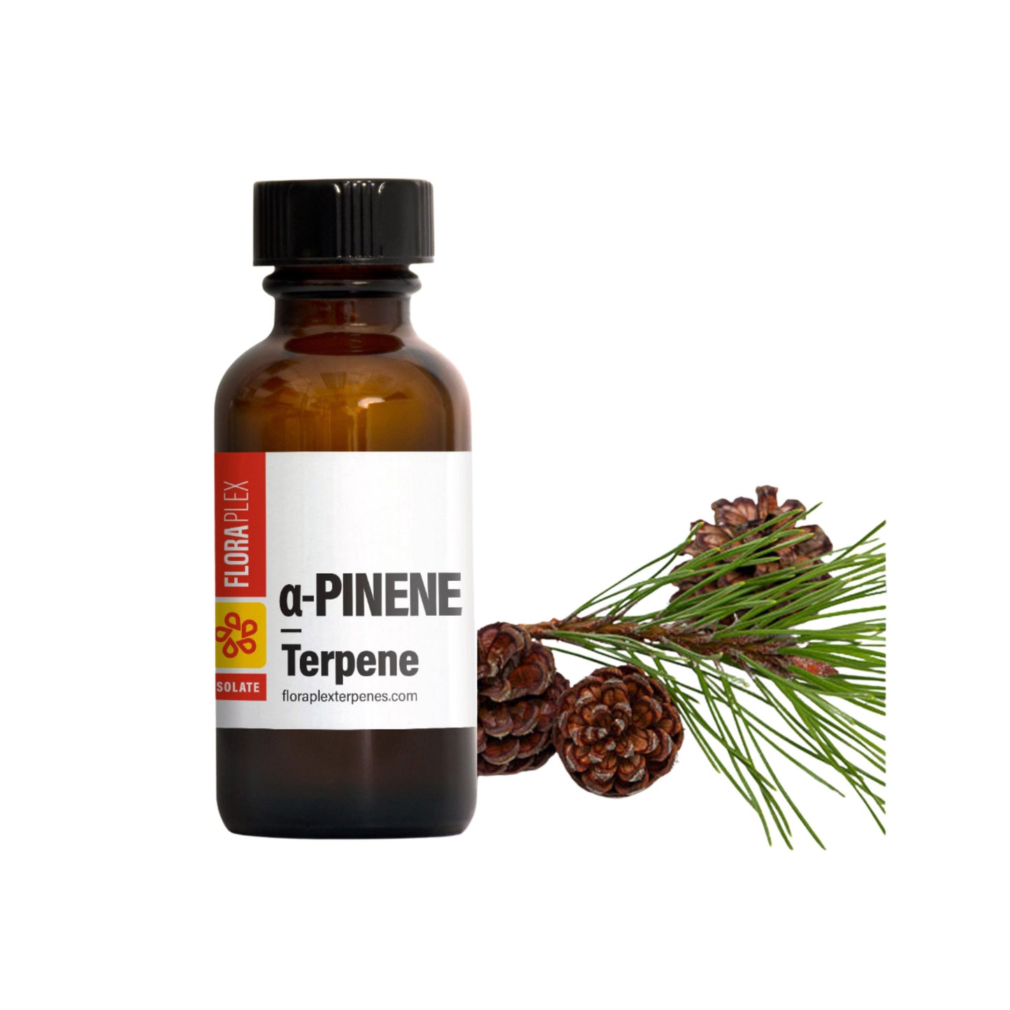 FLORAPLEX TERPENES | ALPHA - PINENE 1oz.