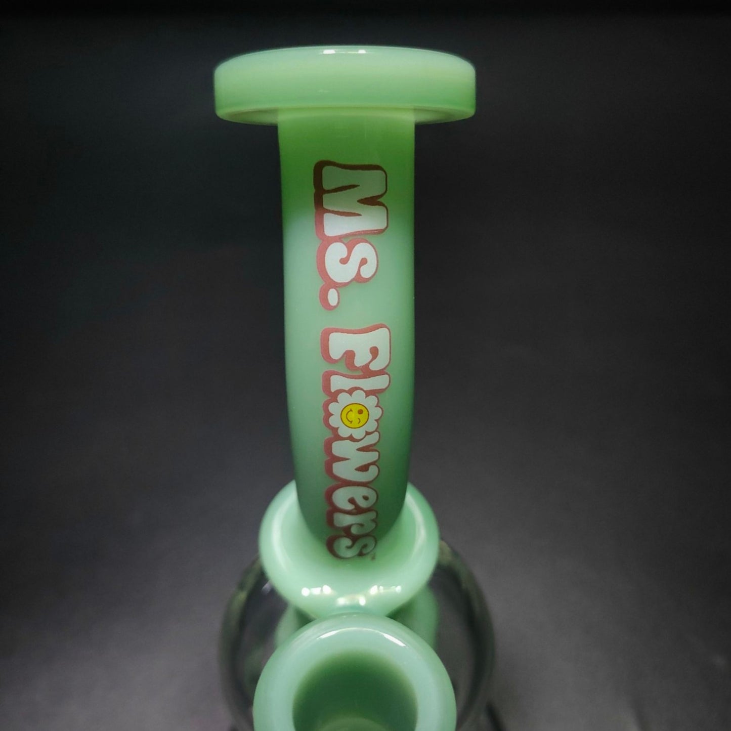 GLASS BONG | MS.FLOWERS GLOBE WATER PIPE 8 INCH