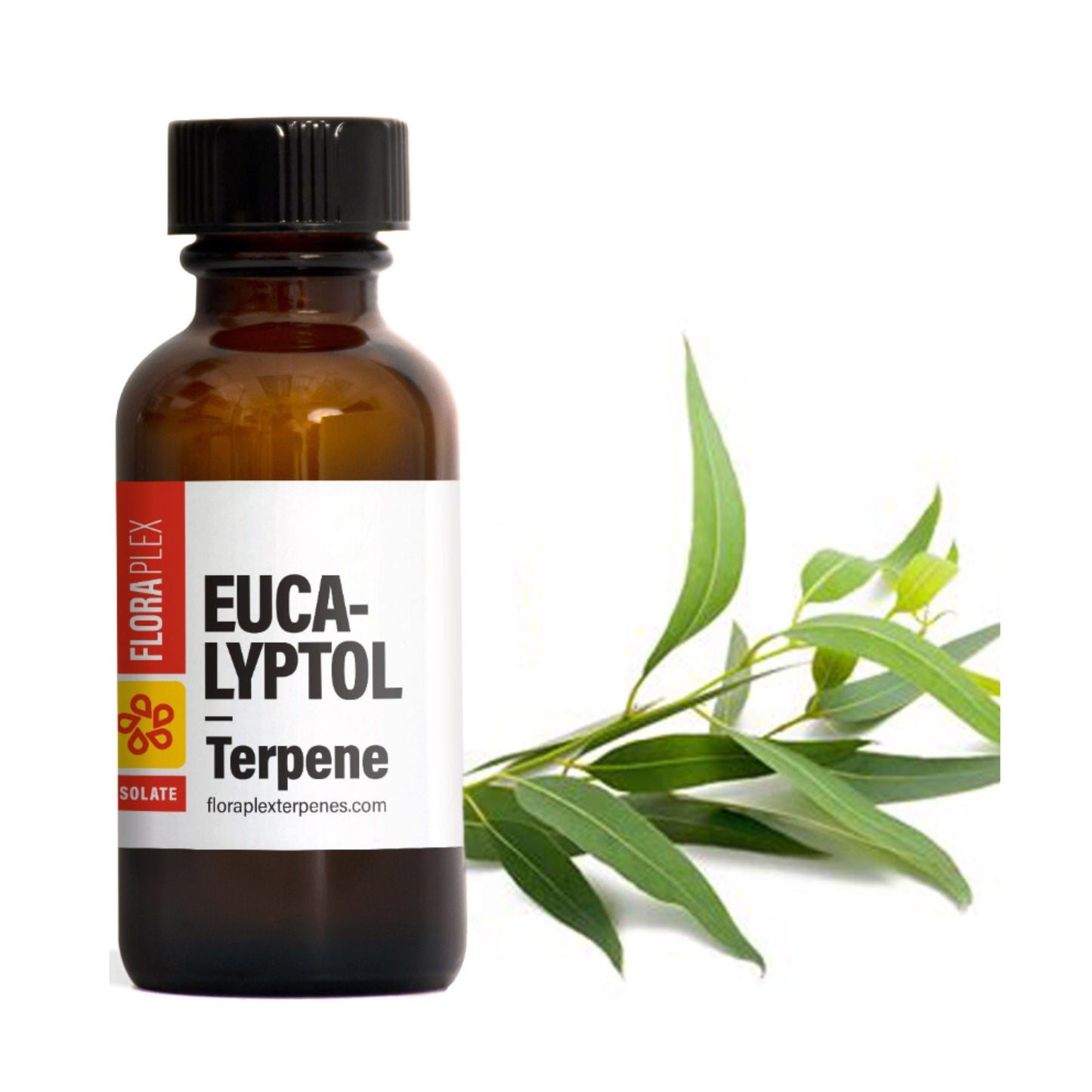 FLORAPLEX TERPENES | EUCALYPTOL 1oz.