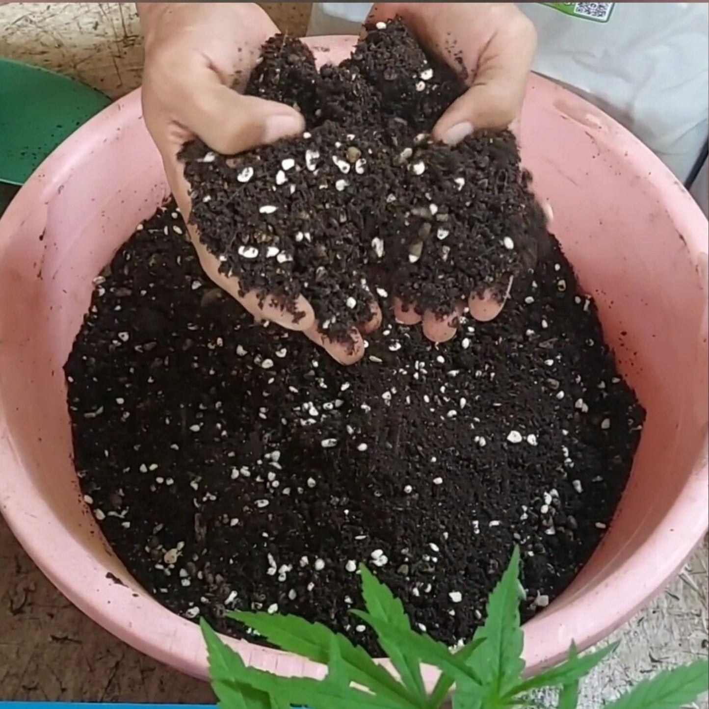 T-REX SUPER SOIL 10 KG BAG