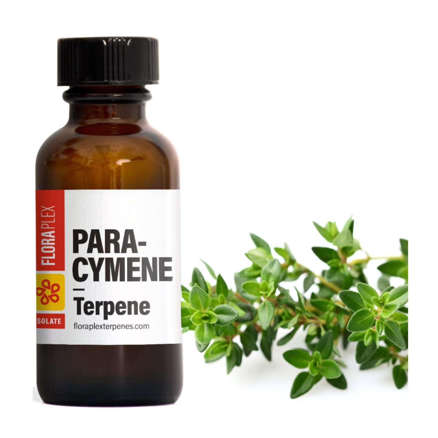 FLORAPLEX TERPENES | PARA - CYMENE 1oz.